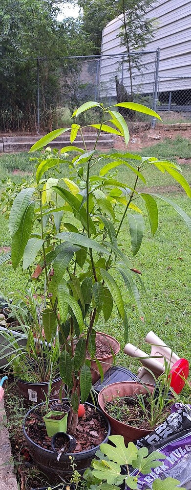 20250820_090524-EDIT