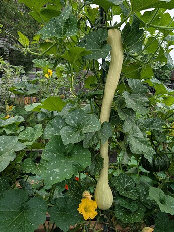 PXL_20250806_174313006