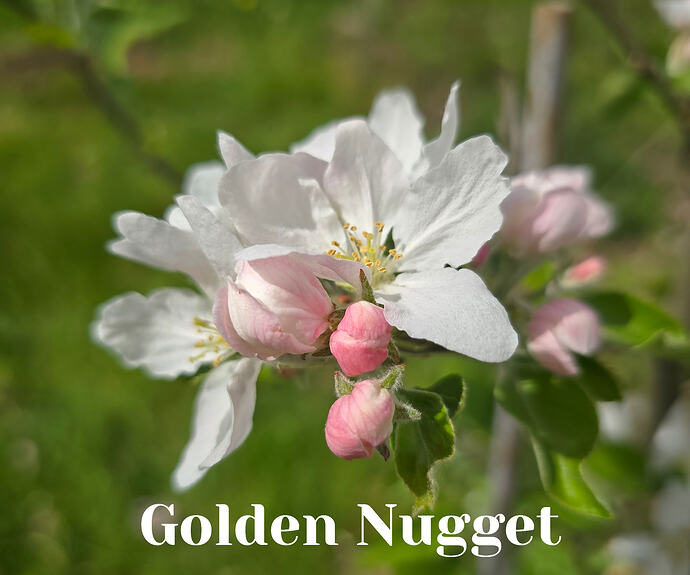 20260410_141025 (2026-04-11T13_51_30.978)