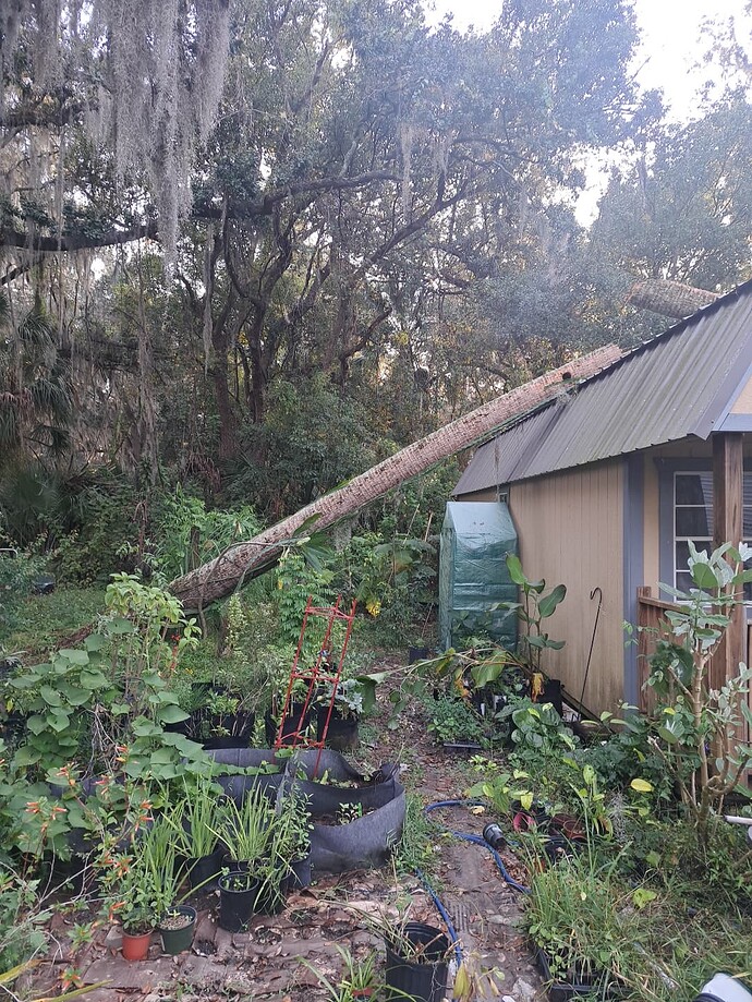 95bb9e44-c468-4515-8cfe-b8ccaffc111e