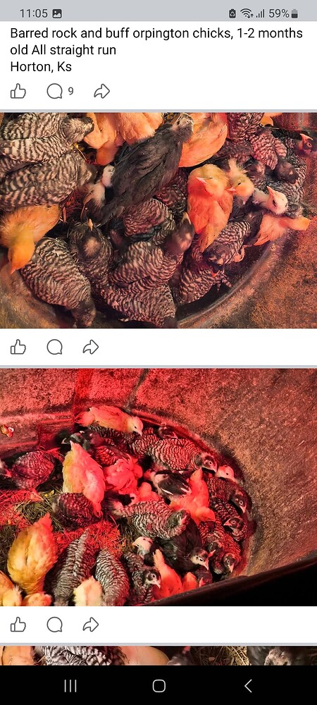 Screenshot_20260118_110533_Facebook