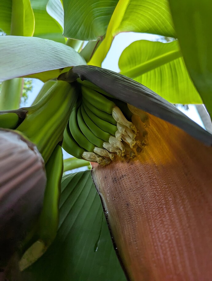 PXL_20250906_171053236