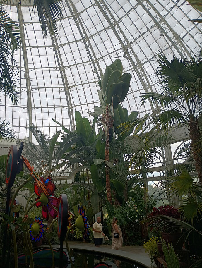IMG_20260731_142025109_HDR