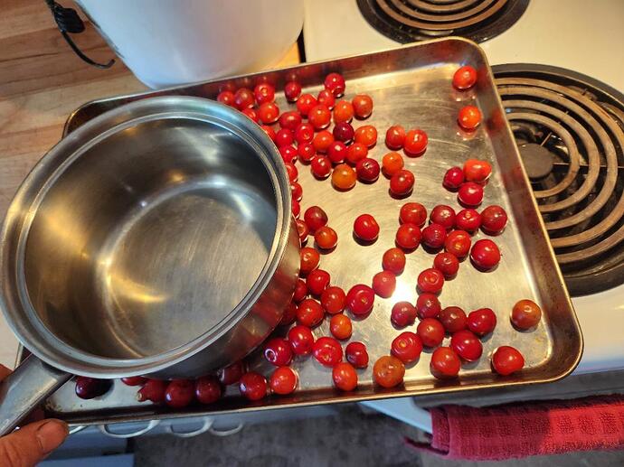 Chefs method pitting pie cherries