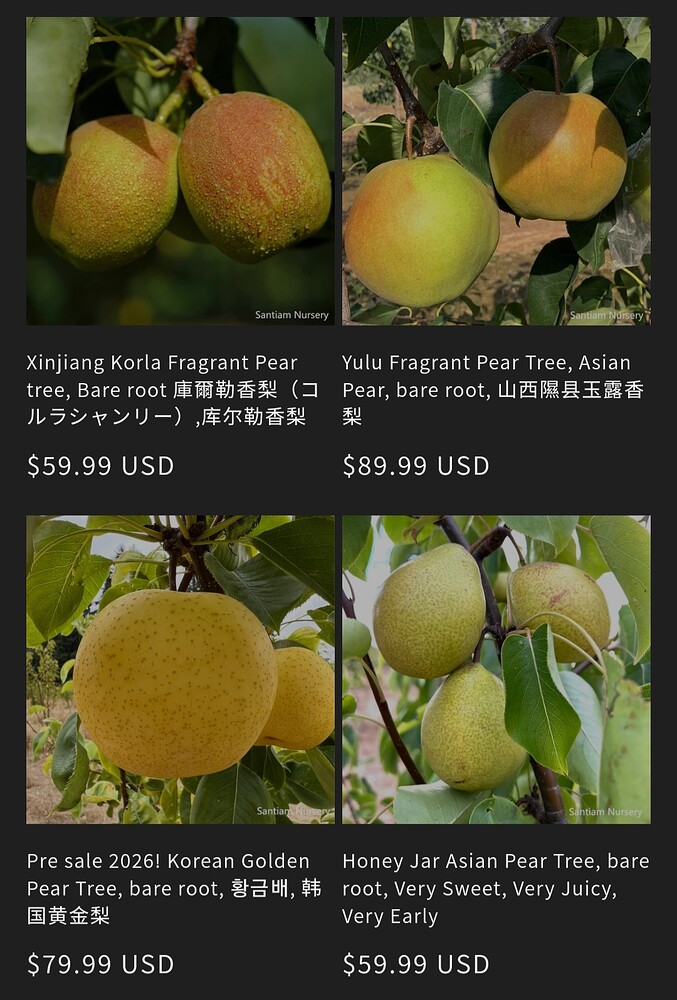 Screenshot_20250826_032812_Samsung Internet