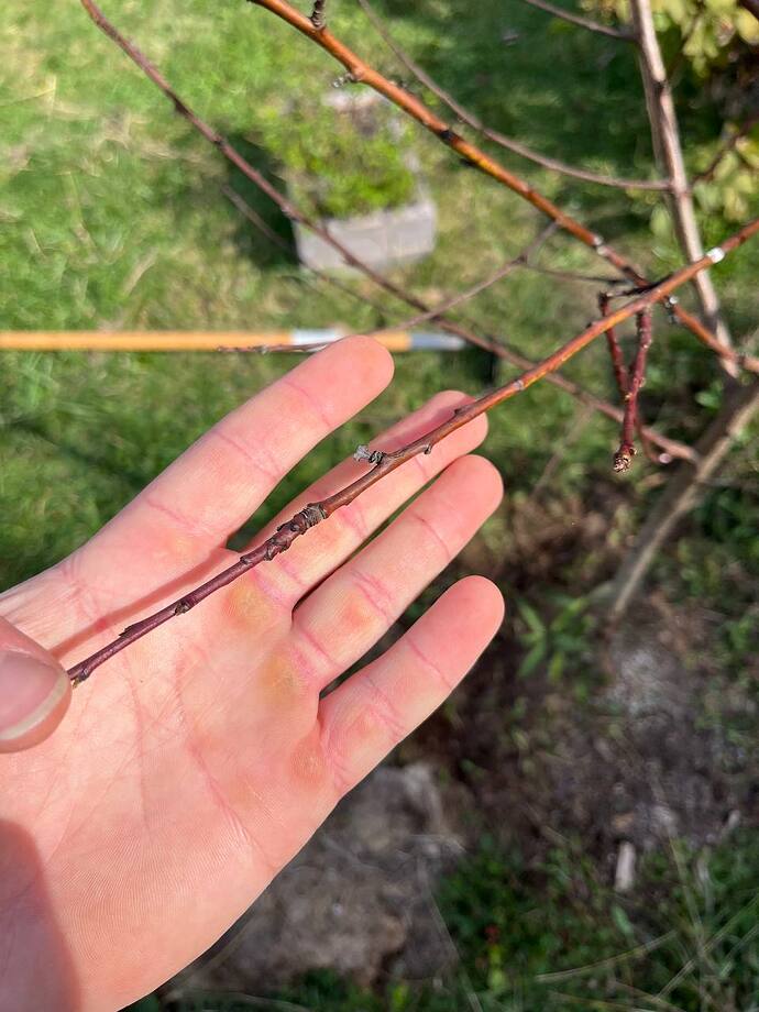 photo_2025-10-19_13-08-33