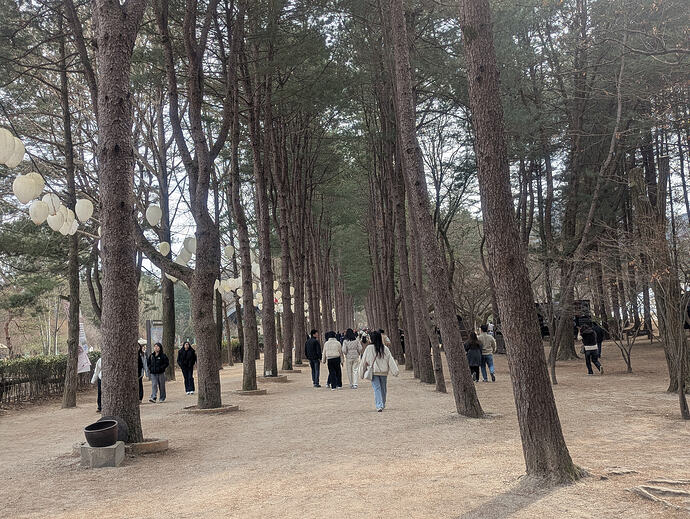 PXL_20260301_055829403.MP