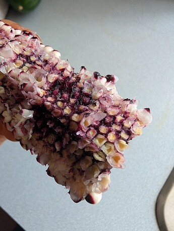 PXL_20250812_233400129