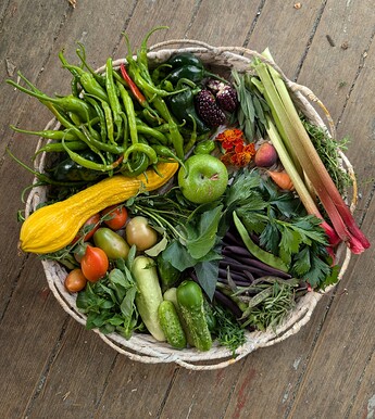 PXL_20250906_214418570