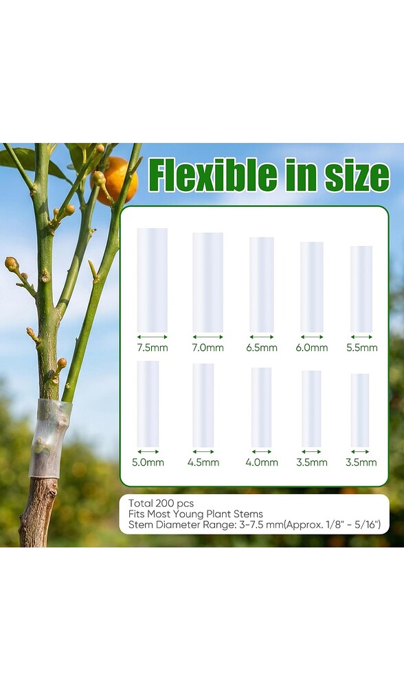 Screenshot_20260301_195053_Amazon Shopping