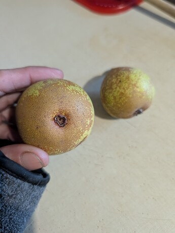 PXL_20251007_184048886