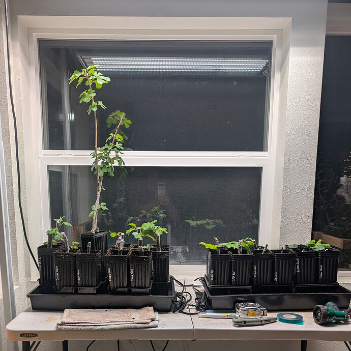 PXL_20260203_024114047