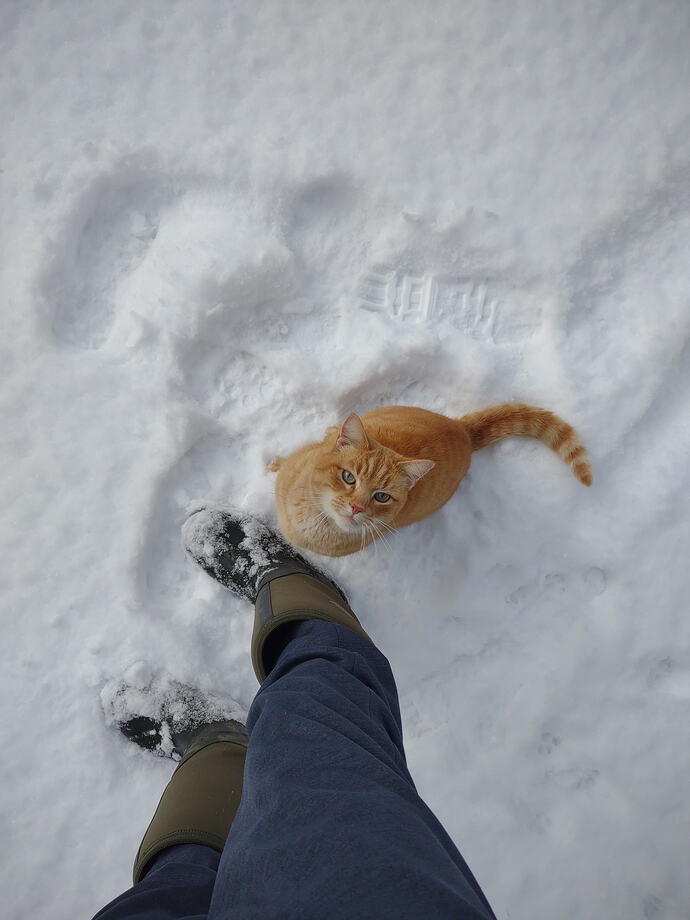 IMG_20260204_102836790