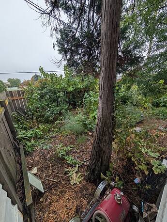 PXL_20251002_161101982