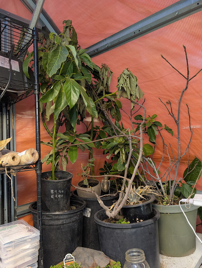 PXL_20260213_235930263