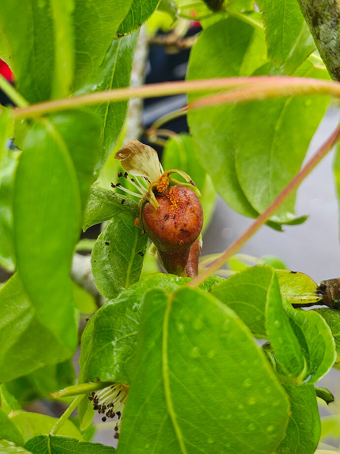 IMG_20260422_125820571_HDR