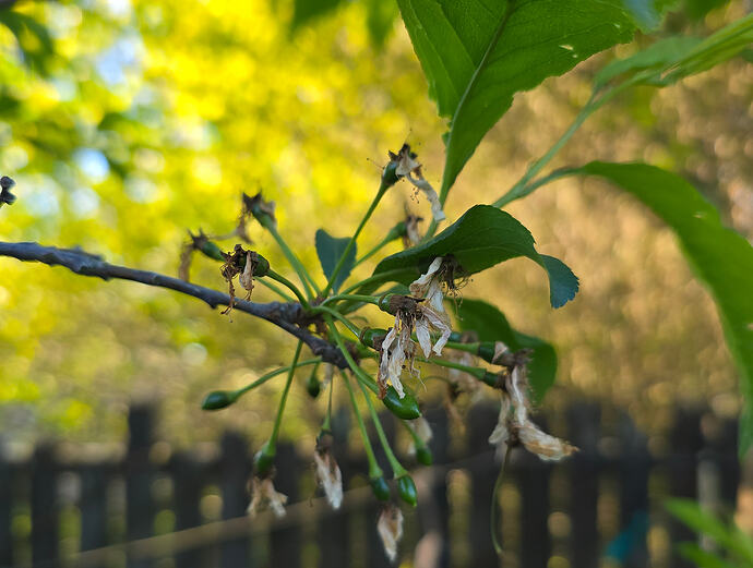 20260409_080738 (2026-04-09T19_08_18.159)