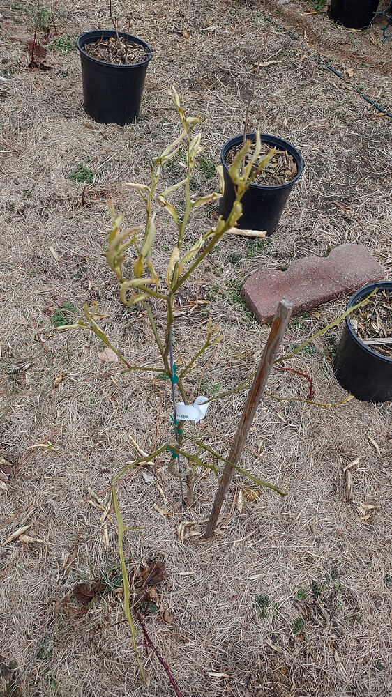 IMG_20260211_133912163_HDR