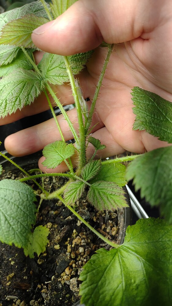 IMG_20251107_120248431_HDR