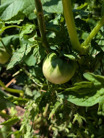 PXL_20250724_214348639