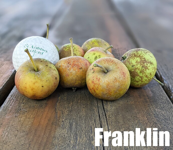 Franklin_2025