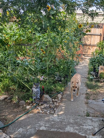 PXL_20250823_212725502