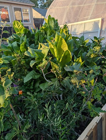 PXL_20250805_024428944