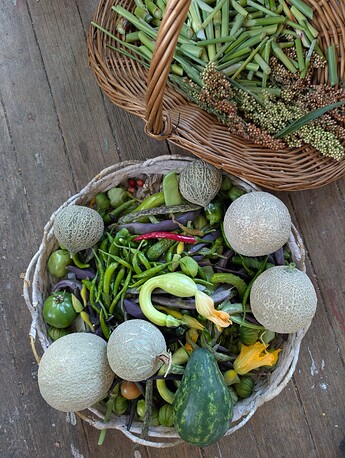 PXL_20251004_202849487