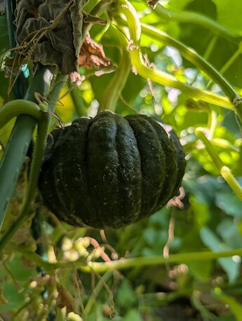 PXL_20250912_221217446