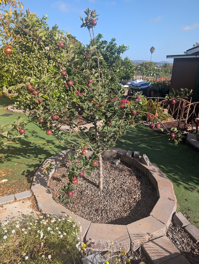 PXL_20251005_224817247