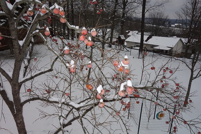 Nikita's gift early Dec 2025 (7) ut