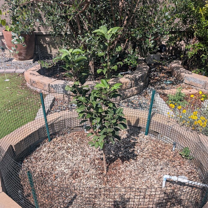 PXL_20250922_202029980