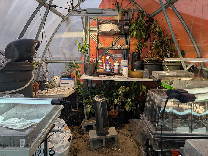 PXL_20260213_235641003