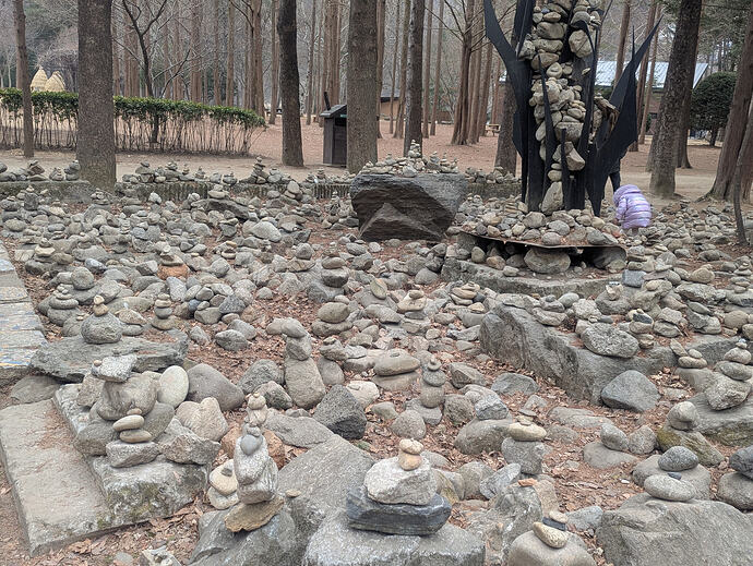 PXL_20260301_070146177