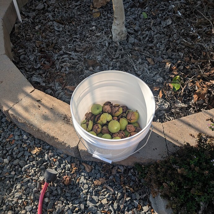 PXL_20250930_233725294