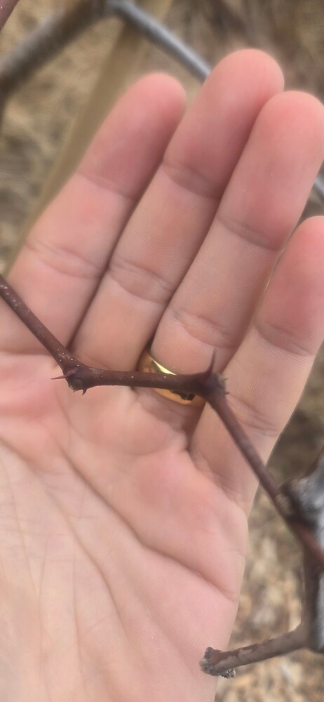 1764957773193517185113418151860