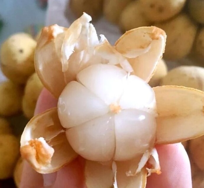 Screenshot_20251216_202526_Facebook