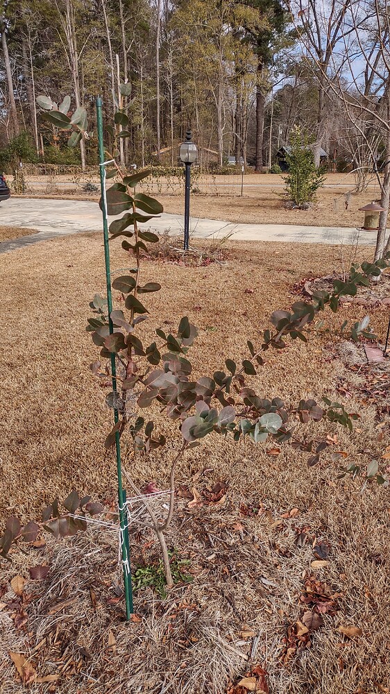 IMG_20251209_111413485_HDR