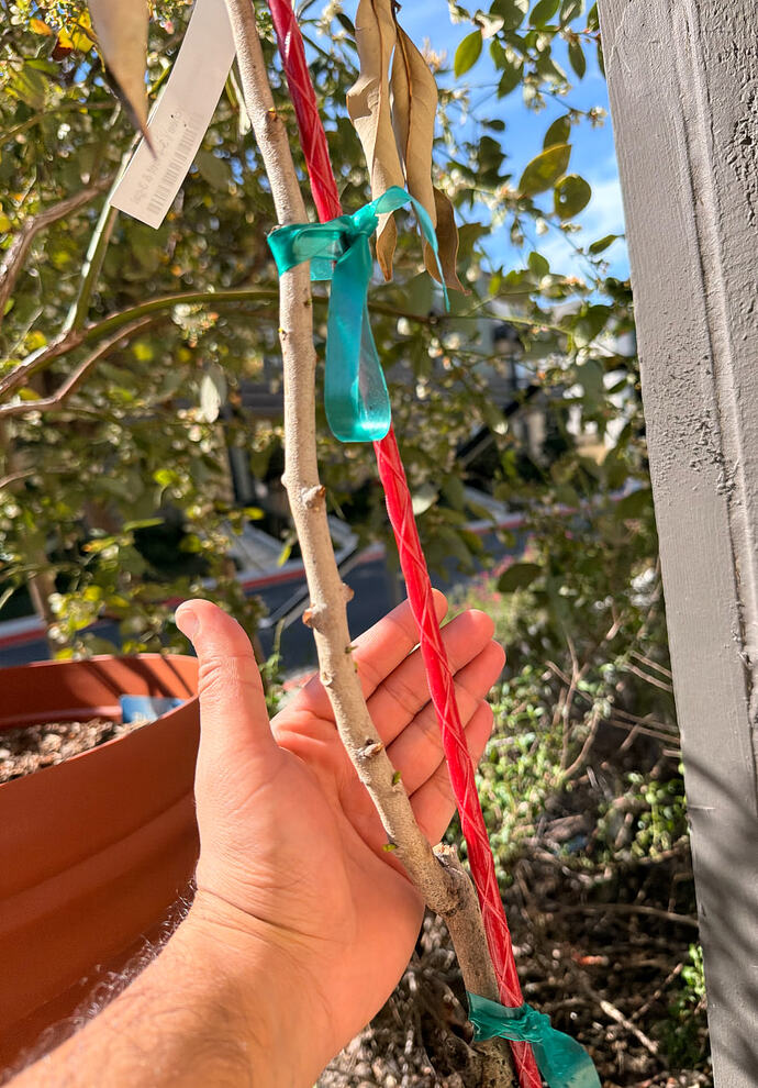 Screenshot 2026-02-28 at 1.17.57 PM