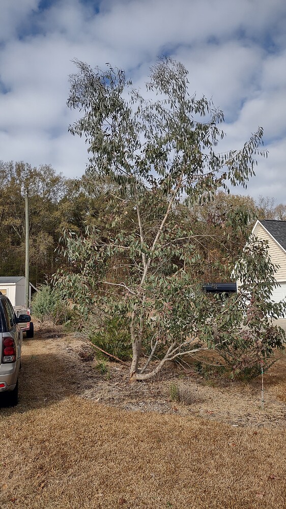 IMG_20251209_111836200_HDR