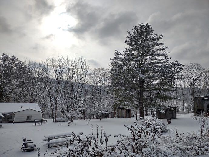 IMG_20260204_102715210_HDR