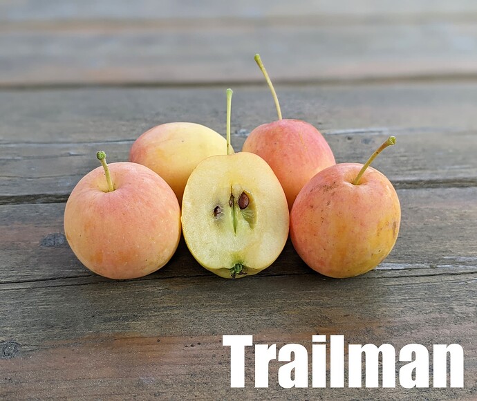 Trailman_2025