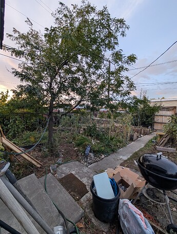 PXL_20251021_003624001