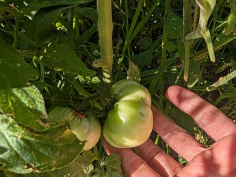 PXL_20250823_232607581