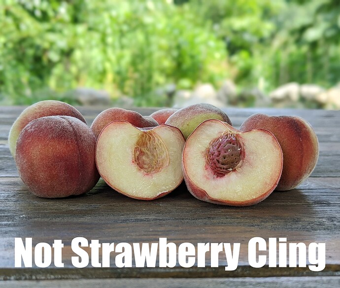 Not Strawberry Cling_2025