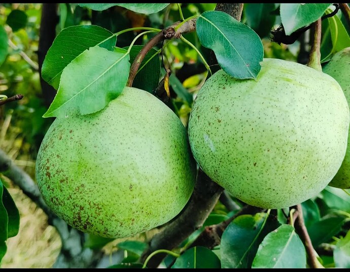 Screenshot_20251010_162539_Facebook