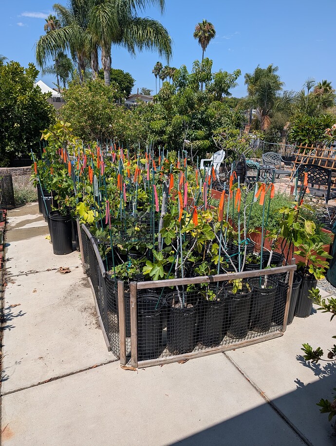 PXL_20250810_204604485