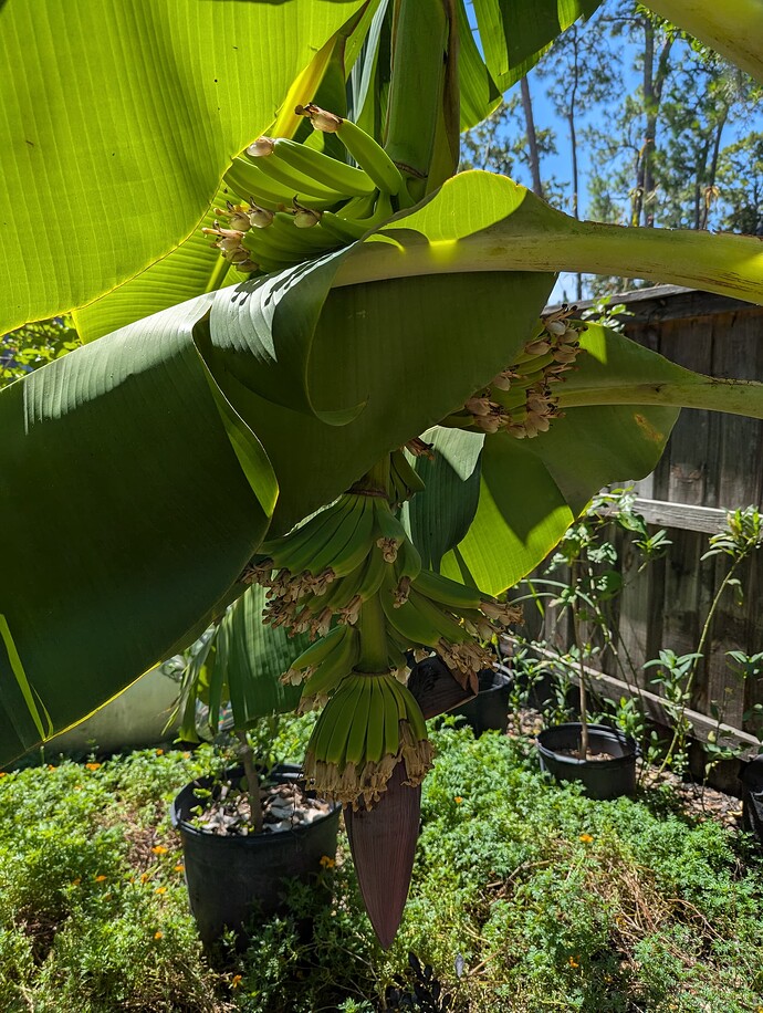 PXL_20250910_183433948