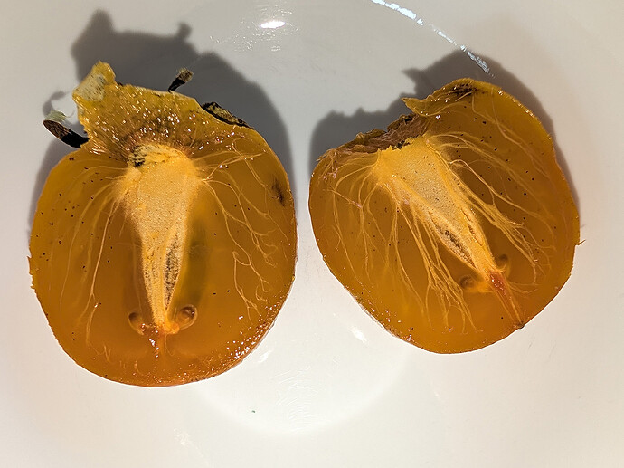Sosnovskaya Persimmon Cut Open