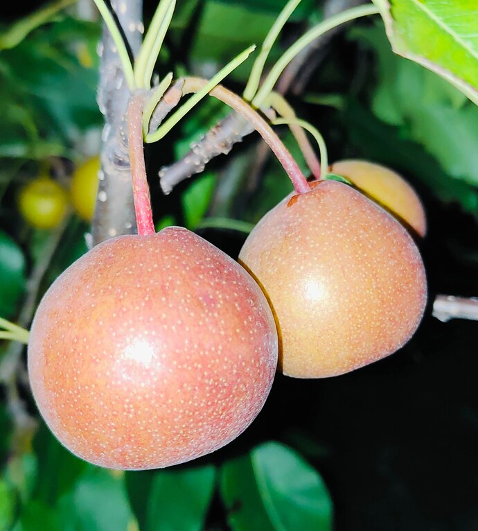 FB_IMG_1754250784229